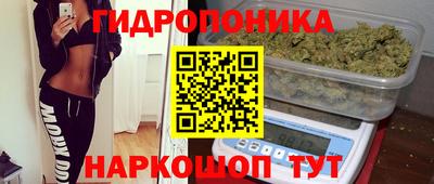 Альфа ПВП Славянск-на-Кубани