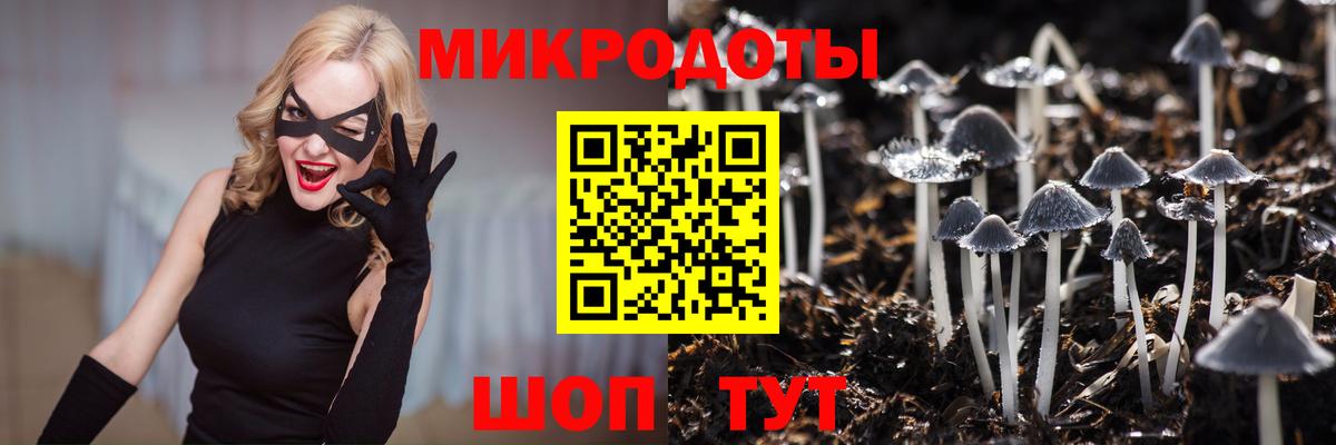 магазин  наркотиков  Галлюциногенные грибы мицелий  Вход с VPN  Псилоцибиновые грибы ЛСД  Белореченск 